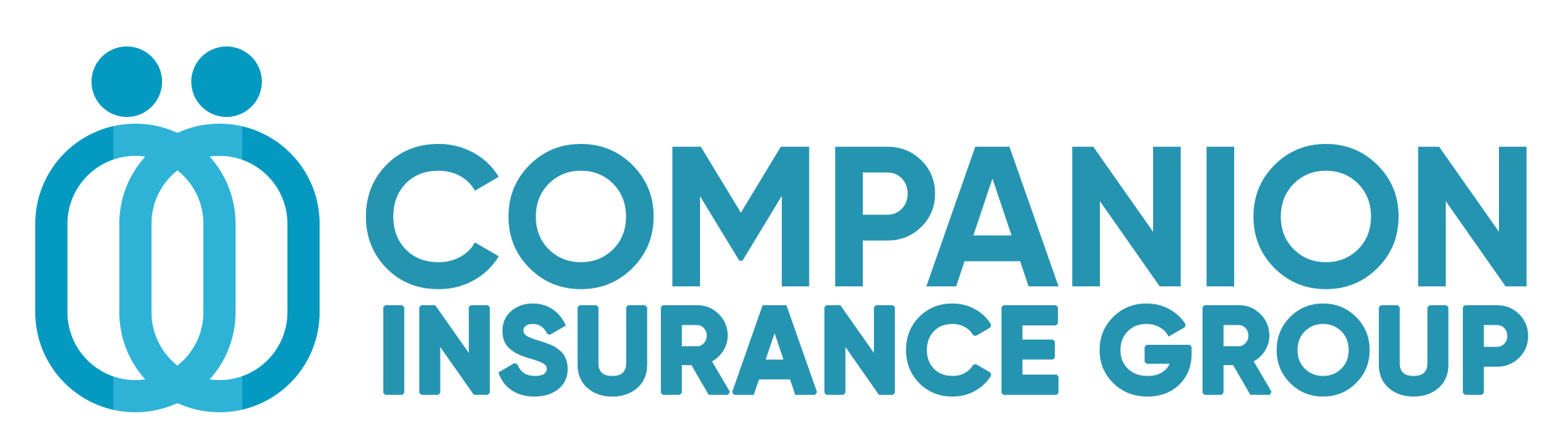 companion Insurance Group LTD